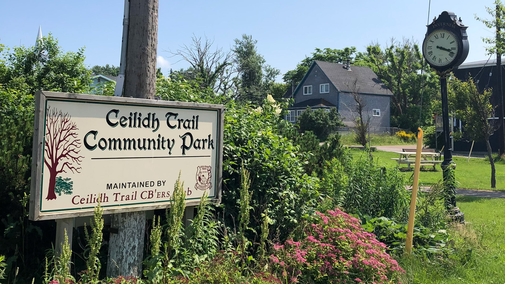 Fiddler in the Park