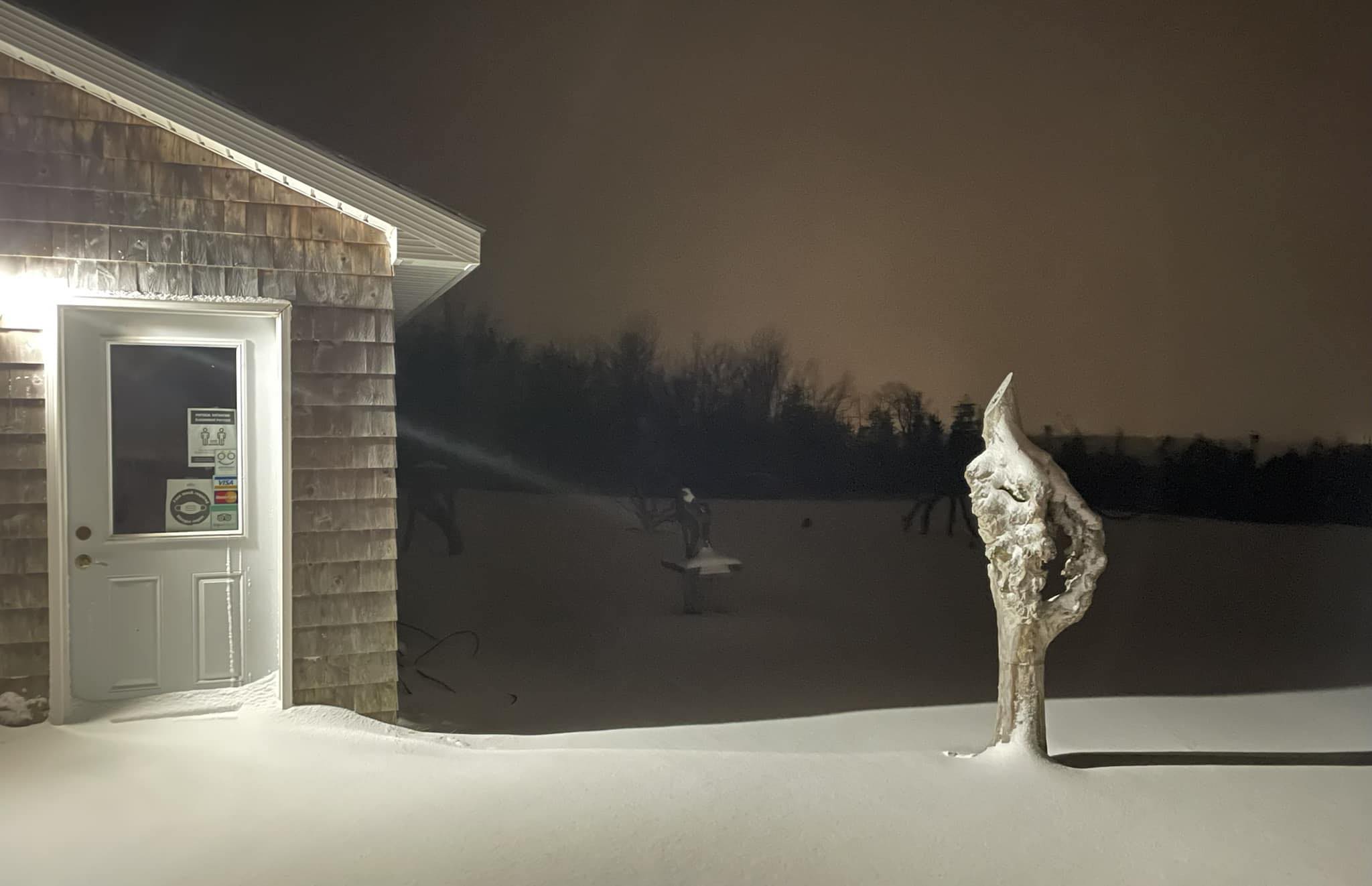 Sculpture Tours